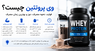 وی پروتئین چیست؟ فواید، نحوه مصرف، دوز و بهترین زمان مصرف